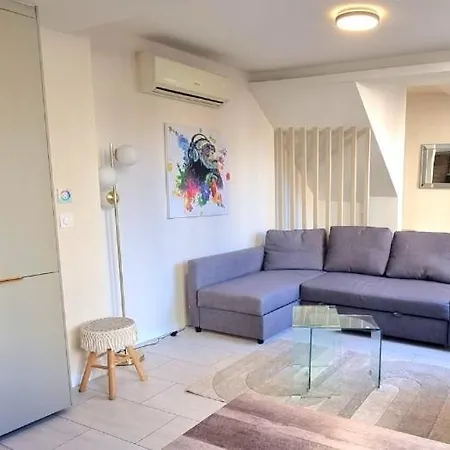 ! Magnifique Triplex Climatise Avec Sauna Coeur De ! * Metz